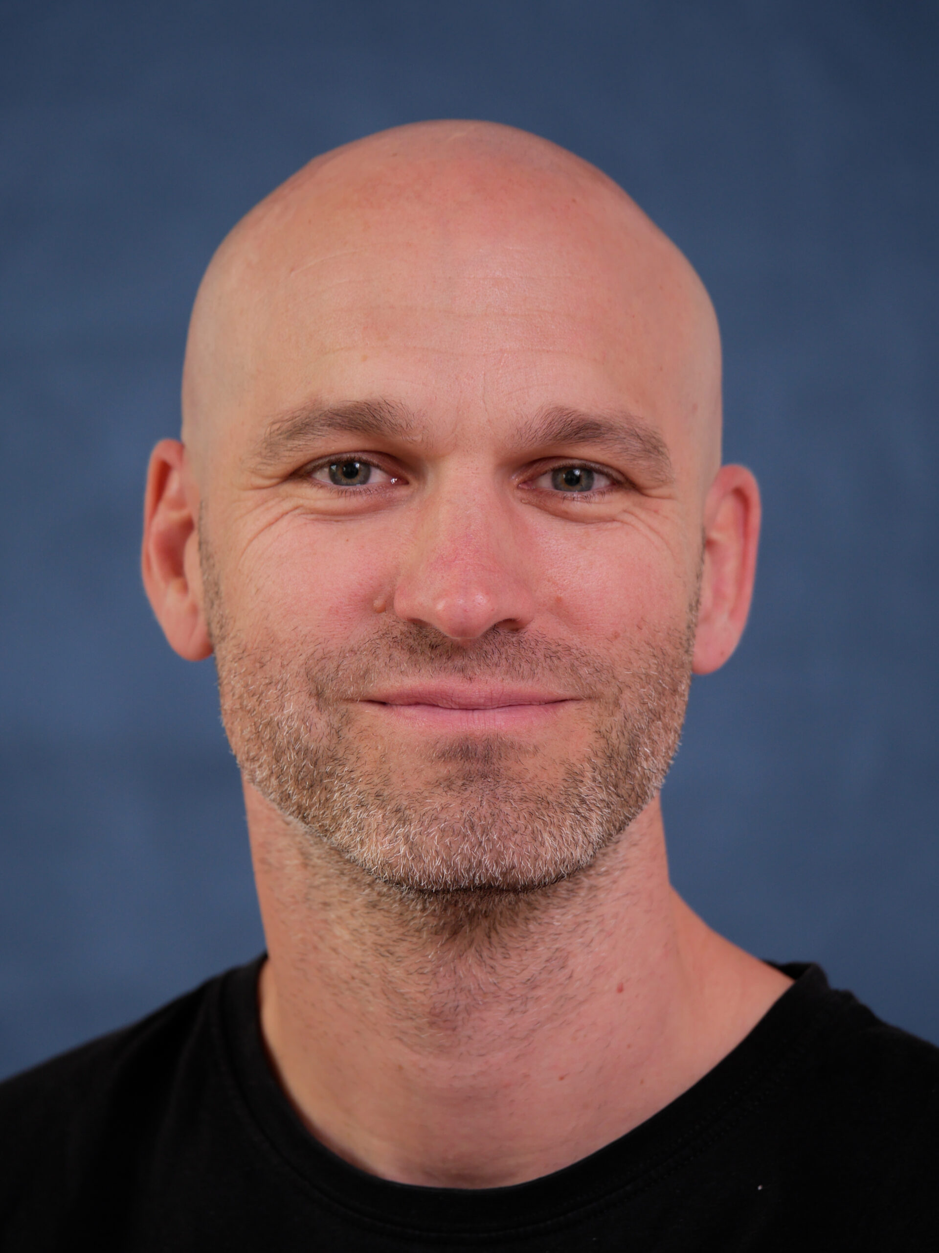 Direktor Stellvertreter, Fachtheorie (Informationstechnologie), Bewegung und Sport