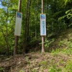 20260521_WaldjugendspieleAggstein03 Schüler und Schülerinnen bei den Waldjugendspielen