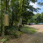 20260521_WaldjugendspieleAggstein06 Schüler und Schülerinnen bei den Waldjugendspielen